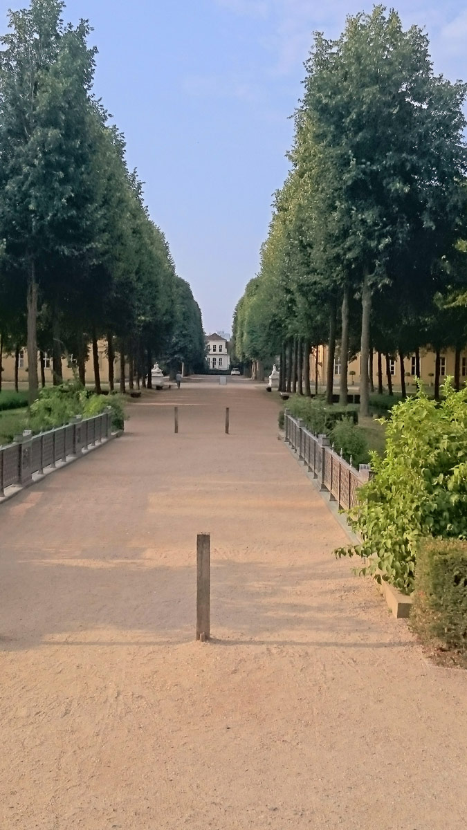 Joggen im Park Sanssouci am frühen Morgen 