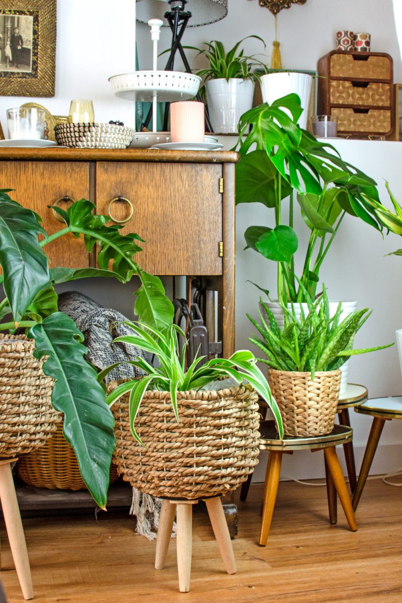 MID CENTURY MODERN | SO VINTAGE & AKTUELL ZUGLEICH