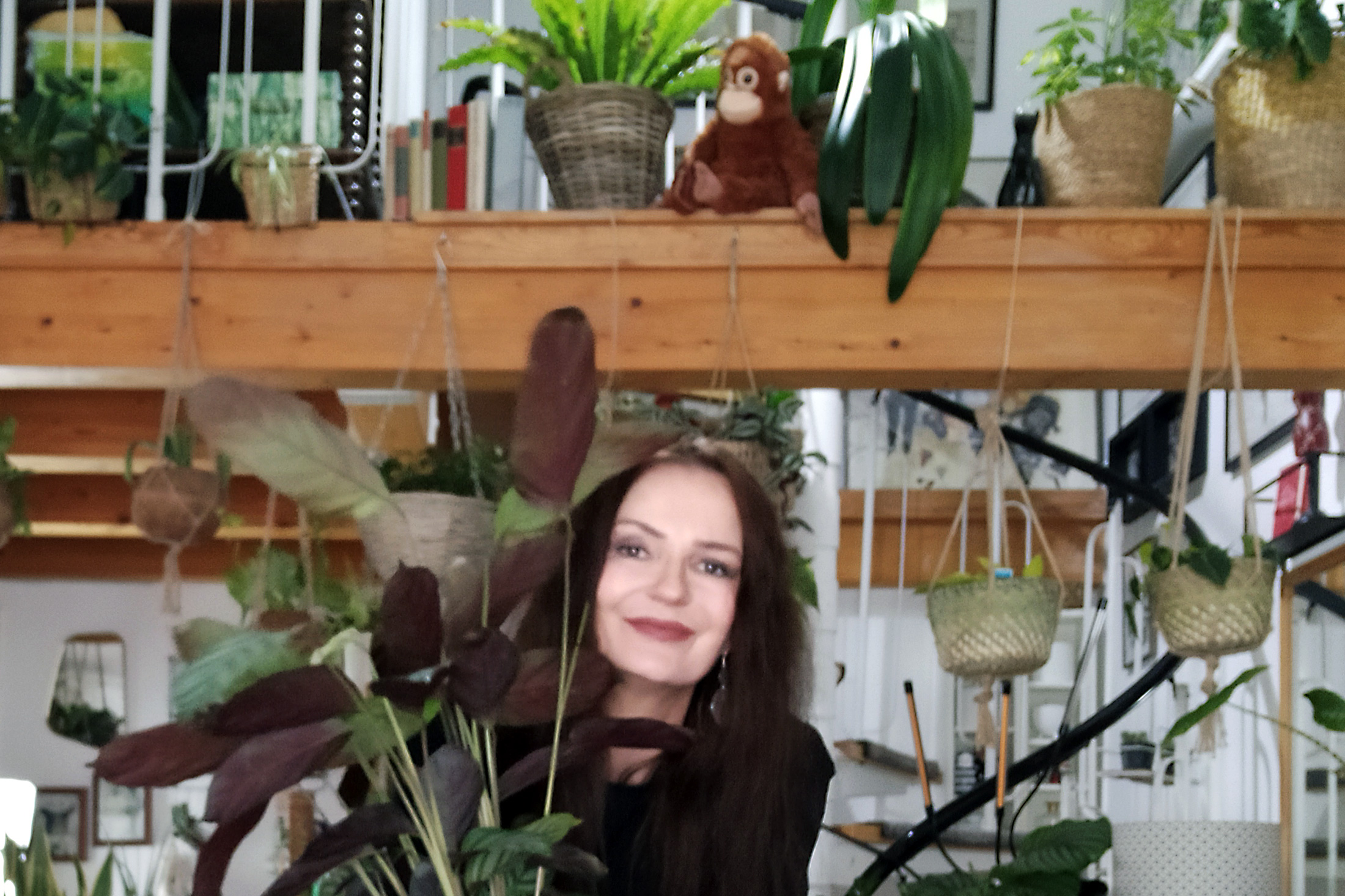 Glücklicheres Leben mit Zimmerpflanzen: Happy Green Life