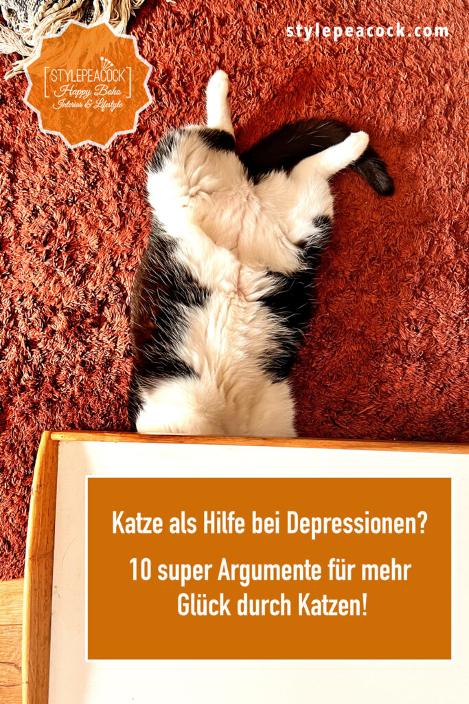 Katze als Hilfe bei Depressionen? 10 super Argumente für mehr Glück durch Katzen!