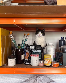 Seit einem guten halben Jahr lebe ich in dieser Altbauwohnung in Berlin – und endlich wieder mit der Kunst als Mittelpunkt meines Lebens.

Aber wer Kunst macht, kennt auch die Zweifel: Reicht das? Interessiert es überhaupt jemanden?
Ich wünsche mir so sehr, dass meine Bilder Menschen berühren, dass sie Räume verwandeln, dass sie in ihrem neuen Zuhause dir persönlichen Geschichten erzählen.

Manchmal fühlt es sich an wie ein stilles Gespräch mit mir selbst. Doch ich teile meine Kunst, weil ich daran glaube, dass sie mehr kann: inspirieren, erzählen, verbinden. Ehrliches Feedback bedeutet mir unendlich viel. ❤️

✨ Swipe mal durch und sag mir, welche Bilder dich besonders ansprechen. 

📩 Schreib mir gerne, Feedback ist wichtig und bedeutet mir viel. Welches Werk könnte deine Wände bereichern? Vielleicht zieht ja bald eines meiner Bilder bei dir ein?

Mehr Kunstwerke findest du auch auf @walz.art und meiner Website walz-art.com 🎨.

#kunstinderwohnung #artforhomes #künstlerinnenleben #contemporaryart #kunstberlin #supportartists #authentischkunst #modernartdaily #kunstundleben #walzart #berlinartist #kunstausberlin #homestudiolife #meinatelier #altbauliebe #altbauberlin