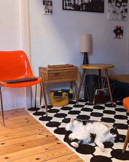 🧡 Orange is my happy color!
Ob im Geschirrregal, als Stuhl oder im Kunstwerk – die Farbe Orange zieht sich wie ein roter (oder eher: orangener 😉) Faden durch mein Zuhause. 
Sie macht Räume lebendig, gibt Energie – und bringt sogar die Katze in Szene 🐾. Swipe durch meinen Slider und entdecke meine kleine Hommage an diese Farbe voll Power und positiver Ausstrahlung! 🍊

Was ist dein Faible zu Hause? Magst du Orange oder ist dies eher ein „rotes Tuch“ für dich?

#mmh_myfaible #meetmyhomechallenge
#orangepower #interiorlove #colorcrush #farbliebe #wohnenmitfarbe #detailsmatter #creativehome #homestory #meininterior #myhomevibe #wohninspiration #interiordetails #tuxedomeowdels #walzart