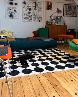 Manchmal reicht ein neuer Teppich … und plötzlich sind die Katzen weg. 🐈‍⬛🐈‍⬛🖤🤍😹

Das alte Soafa ist weg. Ich habe die Fläche unter dem Hochbett neu gestaltet – minimalistischer, gemütlicher, mehr Raum für Kunst und Katz(en). Perfekte Tarnung inklusive.

💬 Was meint ihr – Camouflage gelungen?

🛋️ Interior trifft Art.
🎨 Bleibt dran – es gibt immer wieder spannende Details aus dem Altbau und bald neue Werke aus meinem Atelier.

#arthomeberlin #kunstzuhause #artspace #katzenleben #interiorart #blackandwhitevibes #künstlerwohnung #abstraktekunst #berlinkunst #wohninspiration #cozyvibes #catsandart #modernerlook #homewithart #kunstliebhaber #homestyling #kunstundkatzen

📩 Schreib mir bei Interesse an meinen Arbeiten oder schau mal bei @walz.art vorbei!