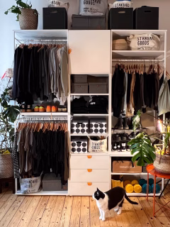 [unbezahlte Werbung da Markennennung]
Keinen Platz für einen Kleiderschrank? In meiner Wohnung gibt es nur eine Stelle dafür. 

Als ich die Wohnung besichtigt habe, stand an diesem Ort ein riesiges Schrankmonster mit Schiebetüren in typischen Stil eines Möbelhausprospekts. Diesen hätte ich sogar geschenkt bekommen. Doch mit einer Tiefe von über 60 cm verdeckte er das halbe Fenster des sowieso eher dunklen Berliner Zimmers*. 

Meine neue Schranklösung habe ich mir aus dem Platsa Programm @ikeadeutschland mit dem Online-Planer zusammengestellt und nach Hause liefern lassen, da ich kein Auto besitze. Das kostet zwar extra, wird aber mit genauem Zeitfenster und Anruf kurz zuvor bis in die Wohnung geliefert. Das erspart eine Menge Schlepperei. Bei mir in Berlin klappt das mit der Speditionslieferung zumindest immer super.

Durch die Tiefe von nur 40 cm und dem luftigen Aussehen durch offene Elemente kommt weiterhin genug Licht ins Zimmer.
Wichtig ist mir außerdem, dass ich Möbel alleine aufbauen kann. Da bin ich gerne unabhängig. Auch meine Flurlösung (S. andere Beiträge) habe ich mir liefern lassen und alleine montiert.
Zwei Tage habe ich gebraucht, dann stand alles und war auch an der Wand fixiert. Die alten Kleiderständer Mäckapar haben innerhalb eines Tages ein neues Zuhause über Kleinanzeigen in Friedrichshain gefunden 👍.
Die orangefarbenen Aufsteckgriffe „Latmask“ sind super praktisch, da sie ohne Bohren funktionieren und so jederzeit austauschbar sind. Es gibt sie auch neutralem Weiß.

Wie gefällt euch meine neue Storage Lösung?

#ikeastorage #kleiderschrank #ikeacloset #ikeaplatsa #offenerkleiderschrank #mybdrm #altbauliebe #berlineraltbau #storagewithstyle #storagesolution #meinkleiderschrank #ikeaatmine #meinikea 

Welches Team bist du?

*Ein typisches Berliner Zimmer im Altbau hat nur ein Eckfenster und ist daher eher dunkel.