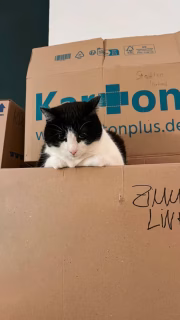 2025 in a nutshell 🤍
Vom Umzug von Potsdam nach Berlin bis zum neuen Atelier in der Altbauwohnung.
Ein Jahr als freie Künstlerin mit Ausstellungen, viel Kultur, Museen und inspirierenden Begegnungen.
Dazu gutes Essen, Reisen nach Hamburg und Mainz — und ein ganz besonderes Wiedersehen: 40 Jahre Abitur.
Ein Jahr voller Bewegung, Kreativität und Dankbarkeit.

Was hat euer Jahr 2025 am meisten geprägt — ein Ort, ein Mensch oder ein Wendepunkt?
Speichert das Reel, folgt mir und aktiviert die Benachrichtigungen, wenn ihr 2026 weiter dabei sein möchtet ✨

#Jahresrückblick #2025Recap #ArthomeBerlin #BerlinArtist #Künstlerleben